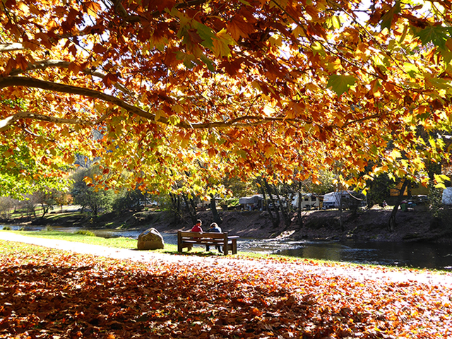 Sunshine is GoldenPhotography by Sharon Alston